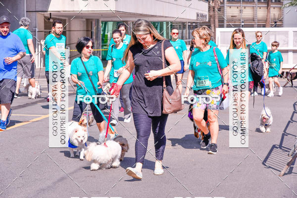 Buy your photos of the event2� Pet Run Shopping Eldorado  on Fotop