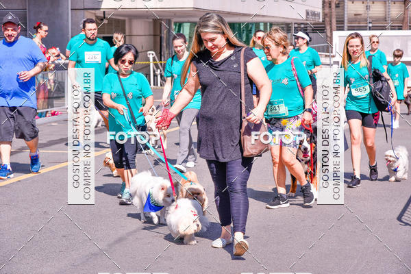 Buy your photos of the event2� Pet Run Shopping Eldorado  on Fotop