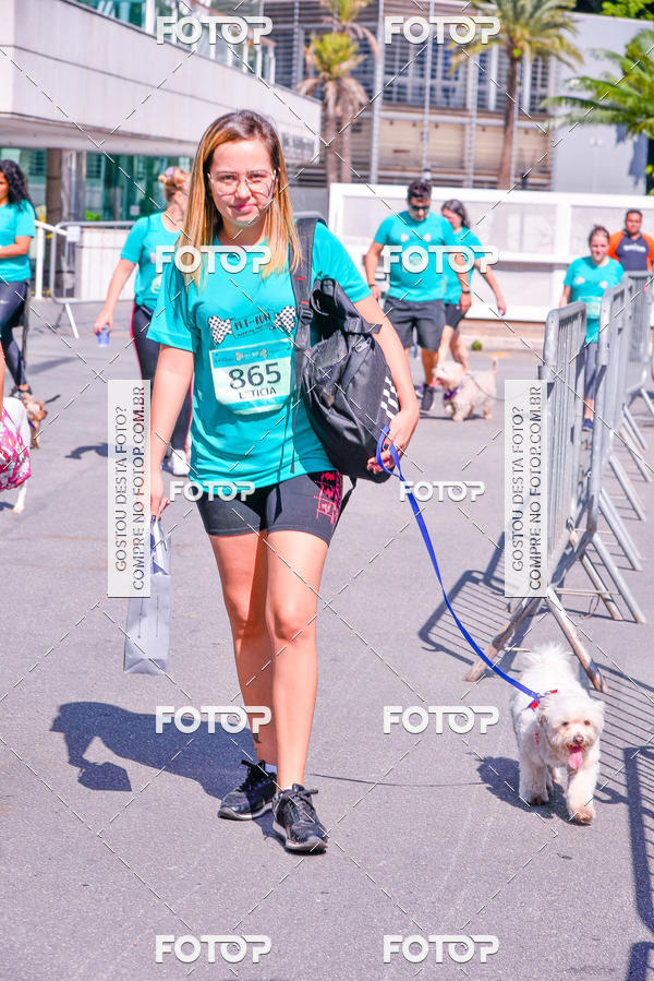 Buy your photos of the event2� Pet Run Shopping Eldorado  on Fotop