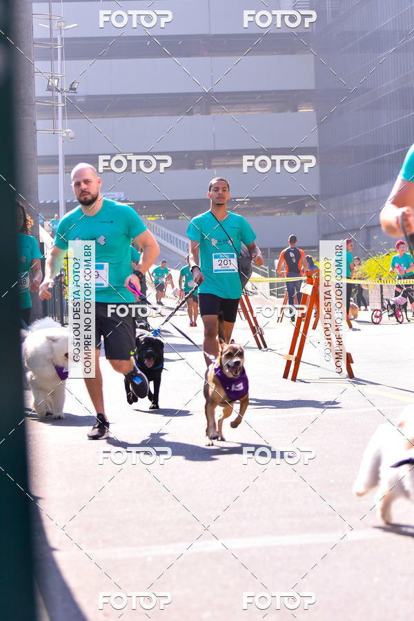 Buy your photos of the event2 Pet Run Shopping Eldorado  on Fotop