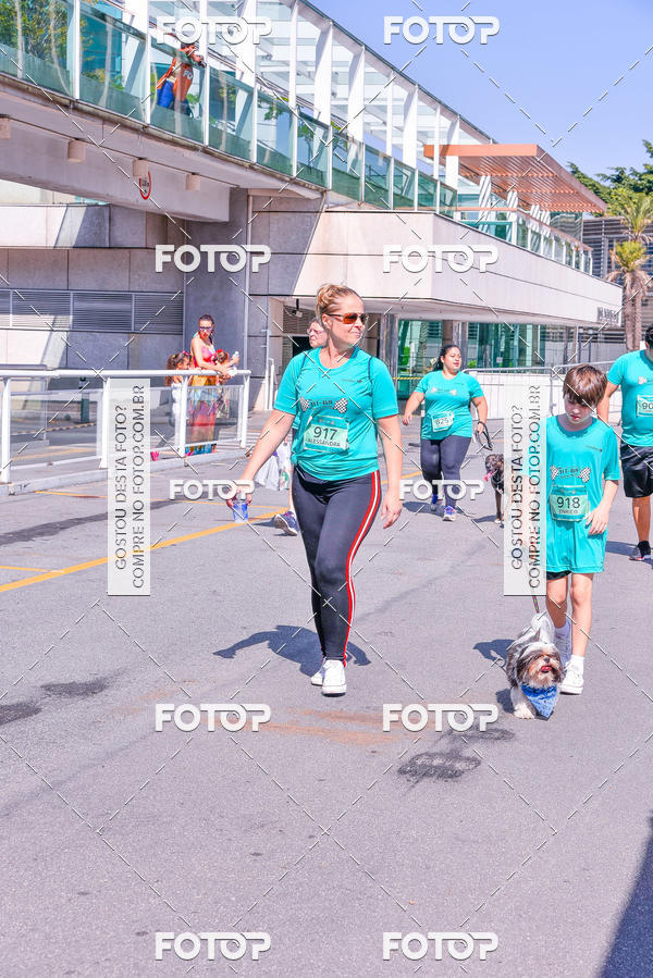 Buy your photos of the event2� Pet Run Shopping Eldorado  on Fotop