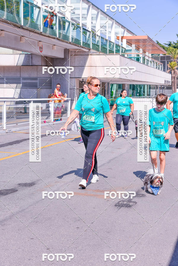 Buy your photos of the event2� Pet Run Shopping Eldorado  on Fotop