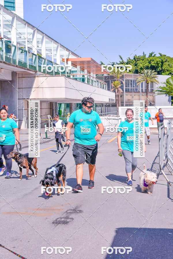 Buy your photos of the event2� Pet Run Shopping Eldorado  on Fotop