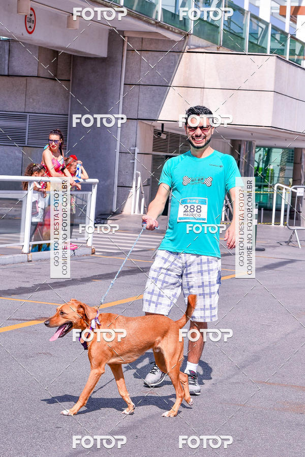 Buy your photos of the event2� Pet Run Shopping Eldorado  on Fotop
