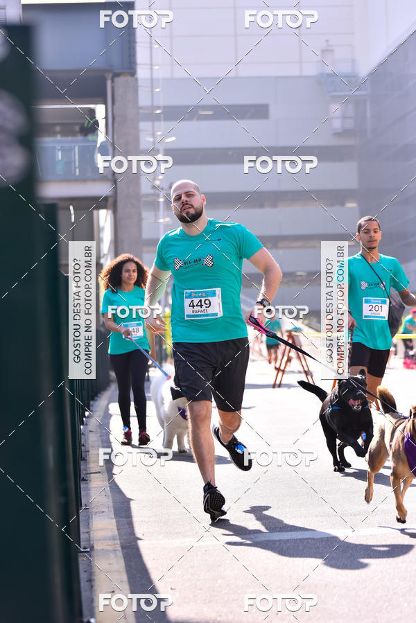 Buy your photos of the event2 Pet Run Shopping Eldorado  on Fotop