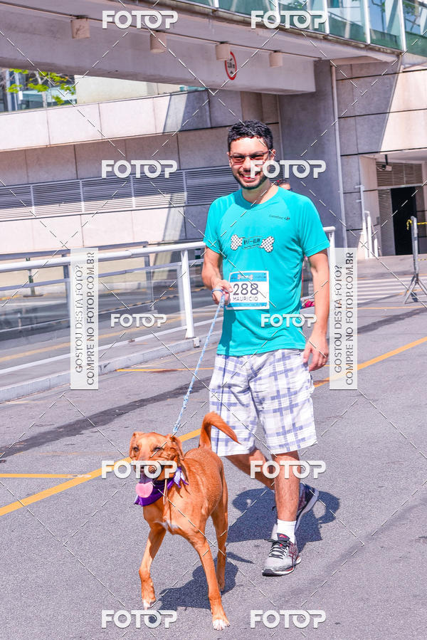 Buy your photos of the event2� Pet Run Shopping Eldorado  on Fotop