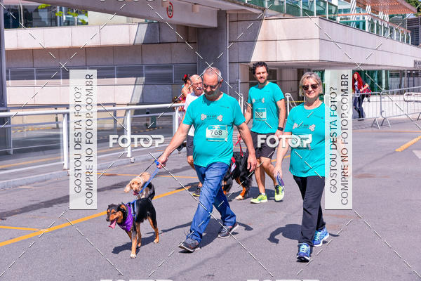 Buy your photos of the event2� Pet Run Shopping Eldorado  on Fotop