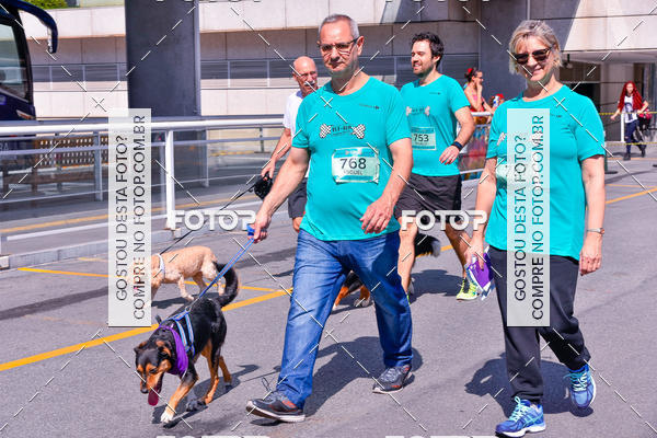 Buy your photos of the event2� Pet Run Shopping Eldorado  on Fotop