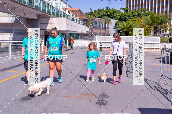 Buy your photos of the event2� Pet Run Shopping Eldorado  on Fotop