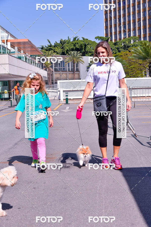 Buy your photos of the event2� Pet Run Shopping Eldorado  on Fotop