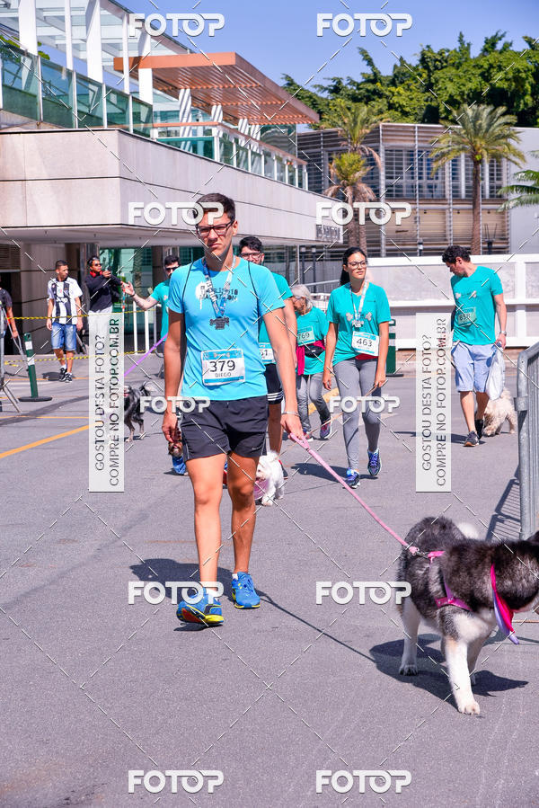 Buy your photos of the event2� Pet Run Shopping Eldorado  on Fotop