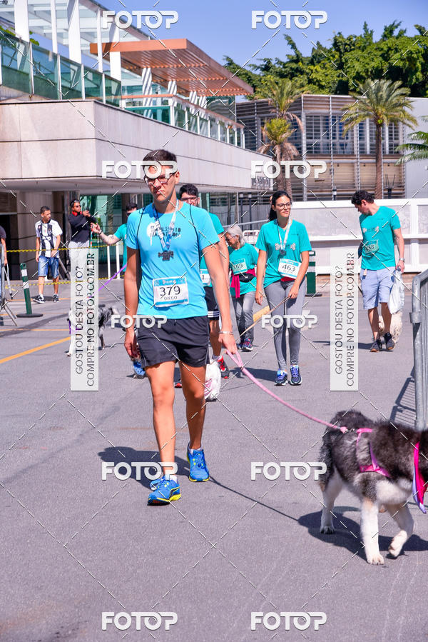 Buy your photos of the event2� Pet Run Shopping Eldorado  on Fotop