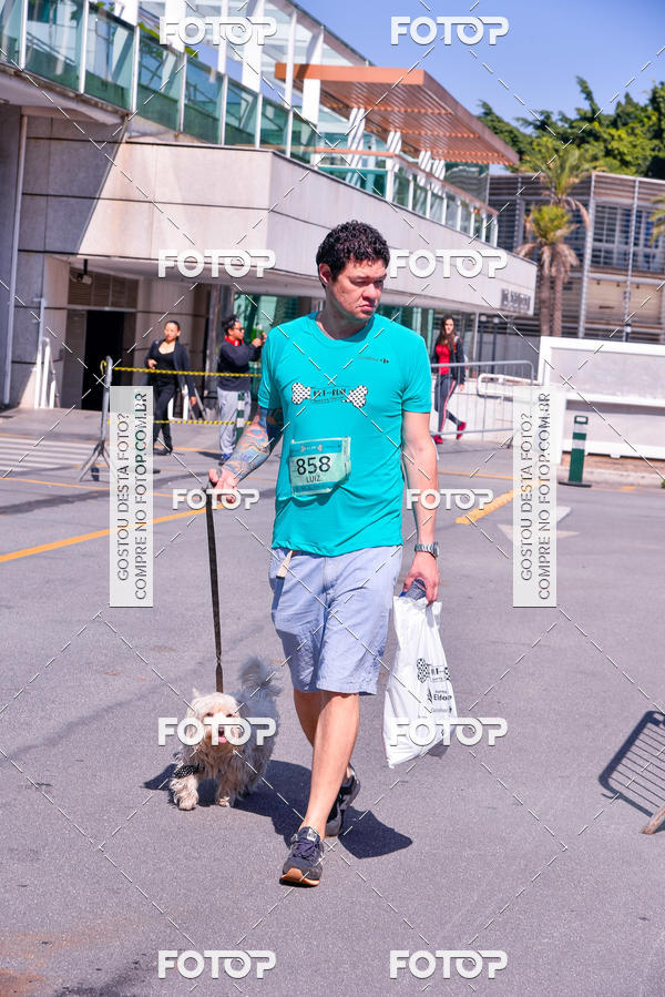Buy your photos of the event2� Pet Run Shopping Eldorado  on Fotop