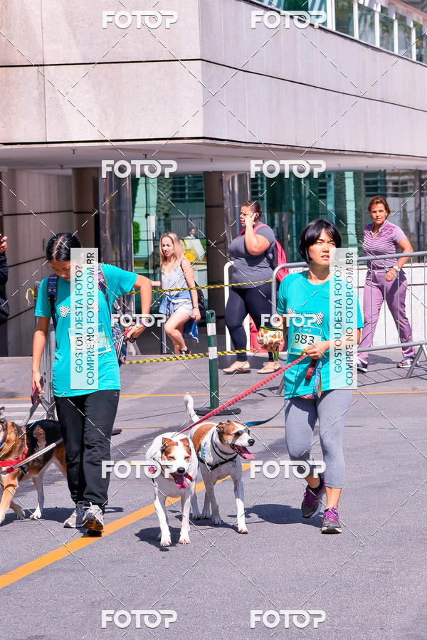Buy your photos of the event2� Pet Run Shopping Eldorado  on Fotop