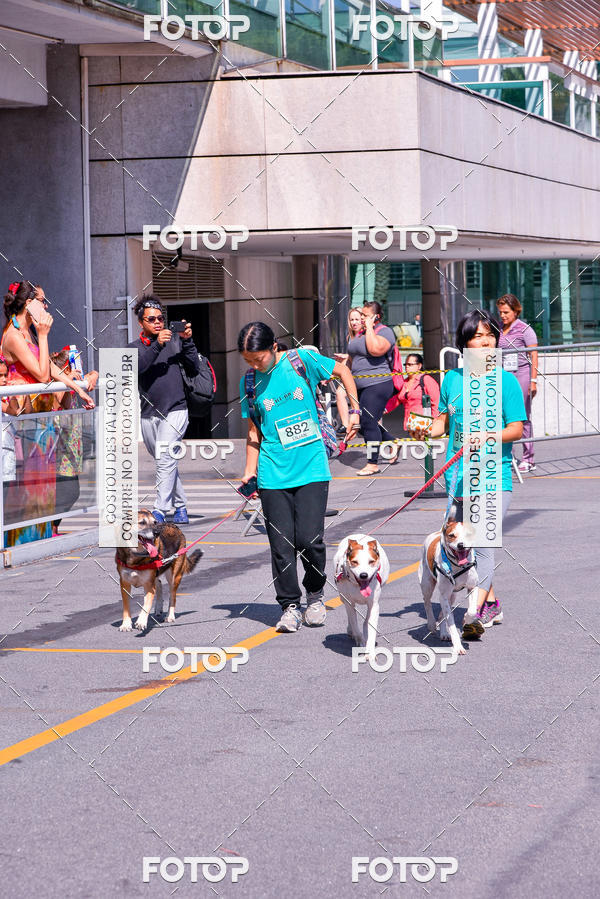 Buy your photos of the event2� Pet Run Shopping Eldorado  on Fotop