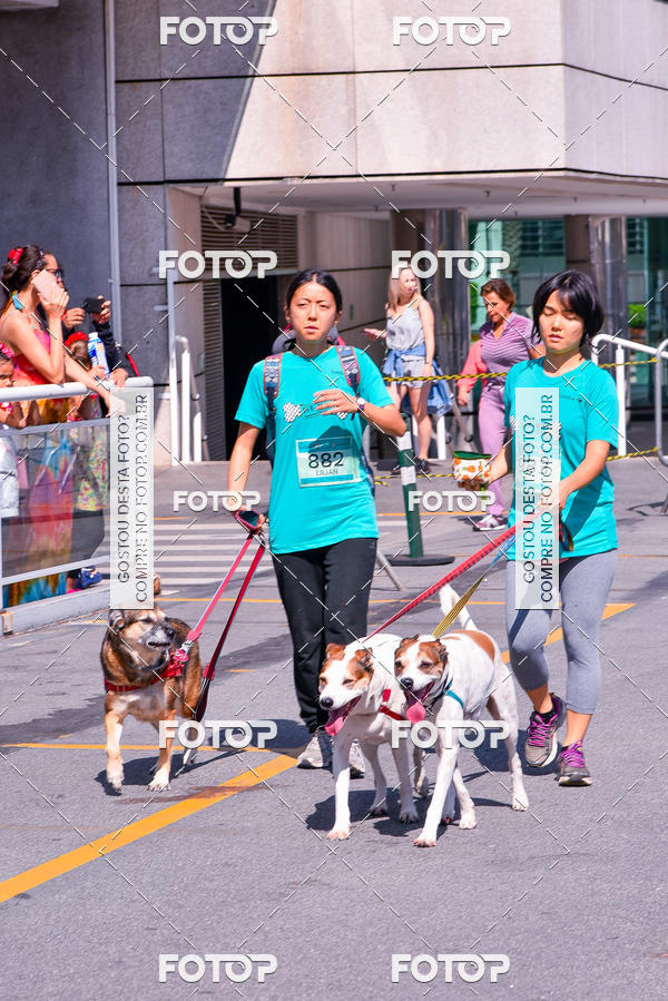 Buy your photos of the event2� Pet Run Shopping Eldorado  on Fotop