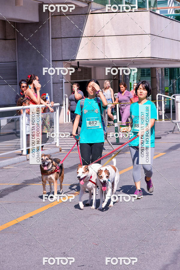 Buy your photos of the event2� Pet Run Shopping Eldorado  on Fotop