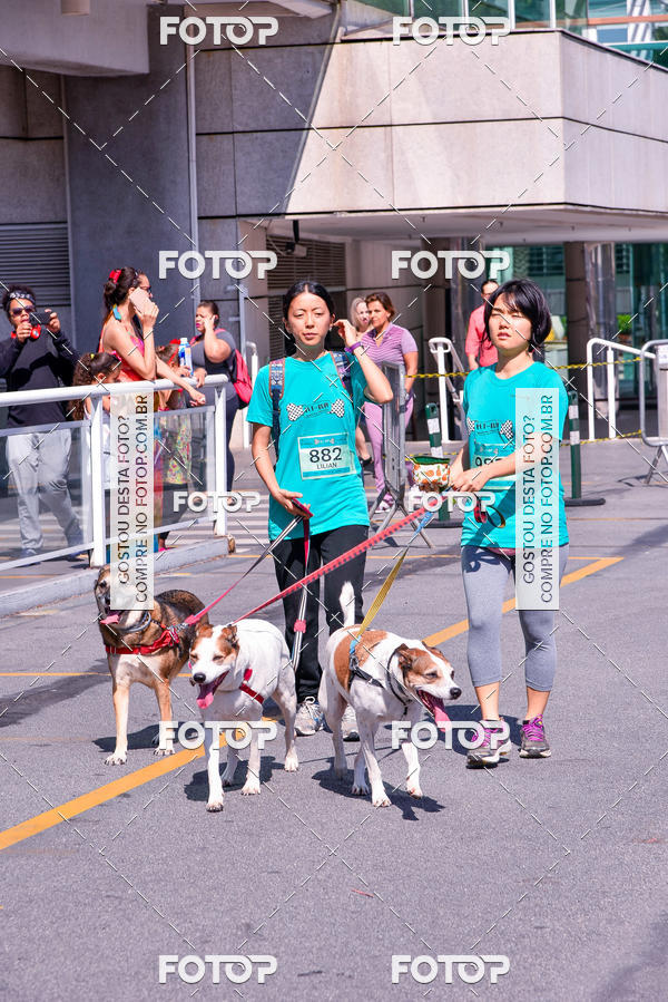 Buy your photos of the event2� Pet Run Shopping Eldorado  on Fotop