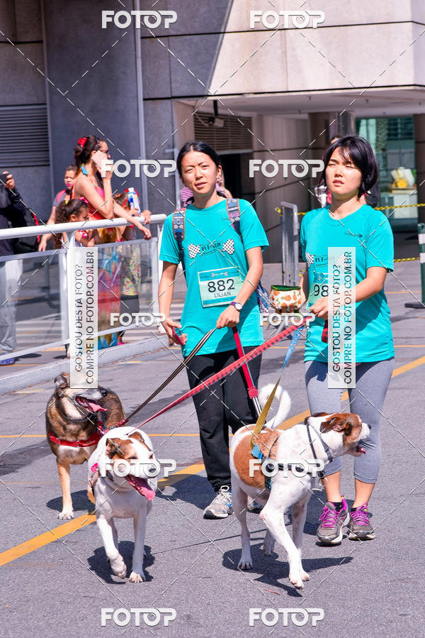 Buy your photos of the event2� Pet Run Shopping Eldorado  on Fotop