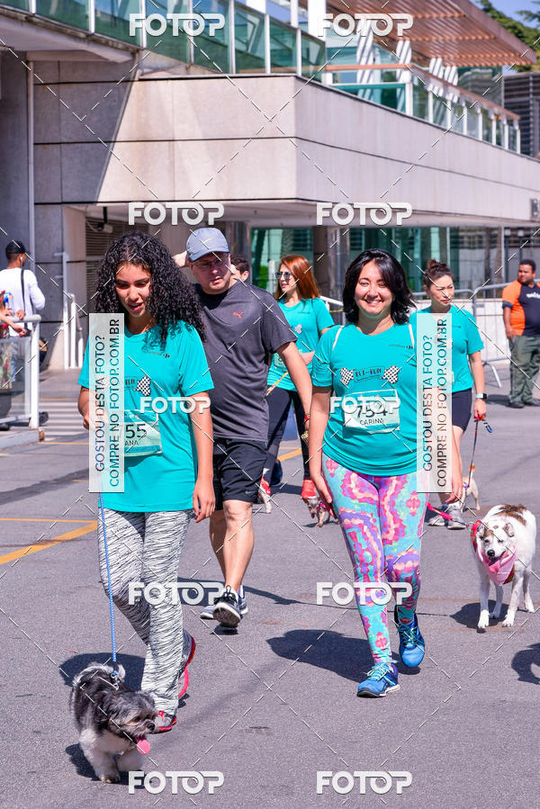 Buy your photos of the event2� Pet Run Shopping Eldorado  on Fotop