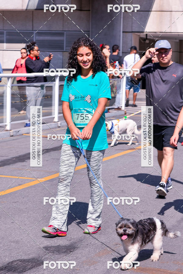 Buy your photos of the event2� Pet Run Shopping Eldorado  on Fotop