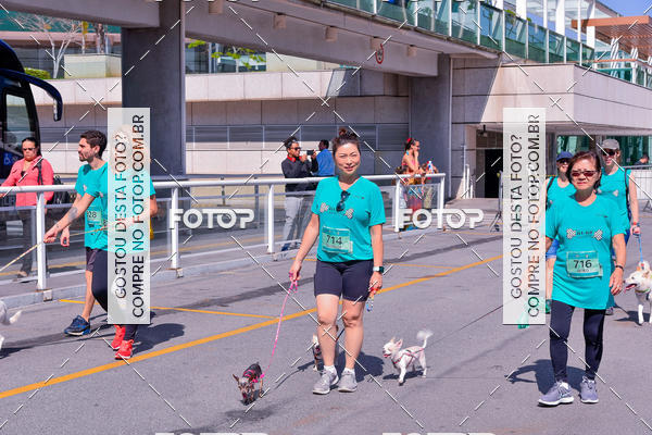 Buy your photos of the event2� Pet Run Shopping Eldorado  on Fotop