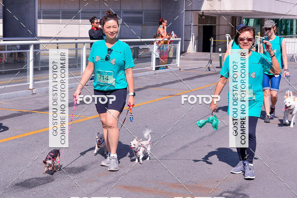 Buy your photos of the event2� Pet Run Shopping Eldorado  on Fotop