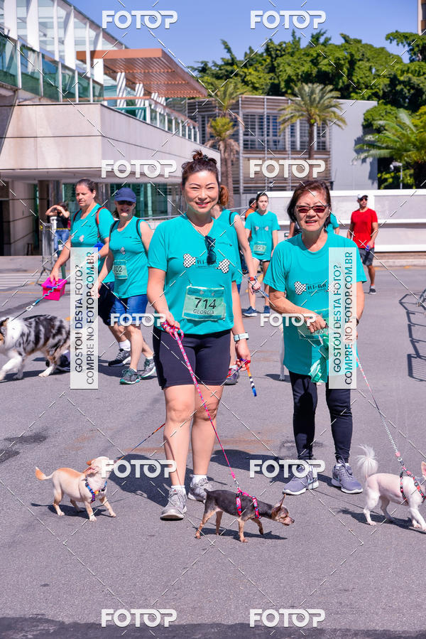 Buy your photos of the event2� Pet Run Shopping Eldorado  on Fotop