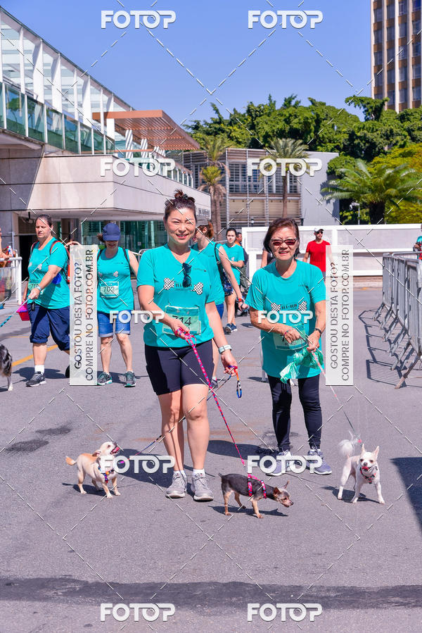 Buy your photos of the event2� Pet Run Shopping Eldorado  on Fotop