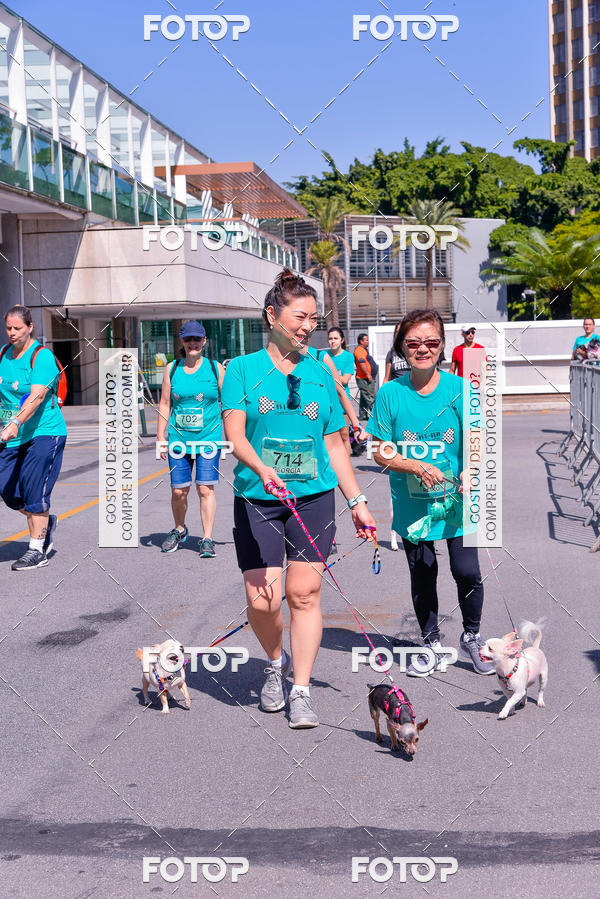 Buy your photos of the event2� Pet Run Shopping Eldorado  on Fotop