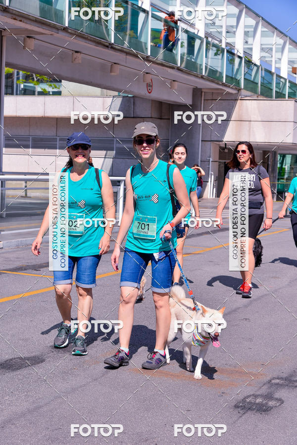 Buy your photos of the event2� Pet Run Shopping Eldorado  on Fotop