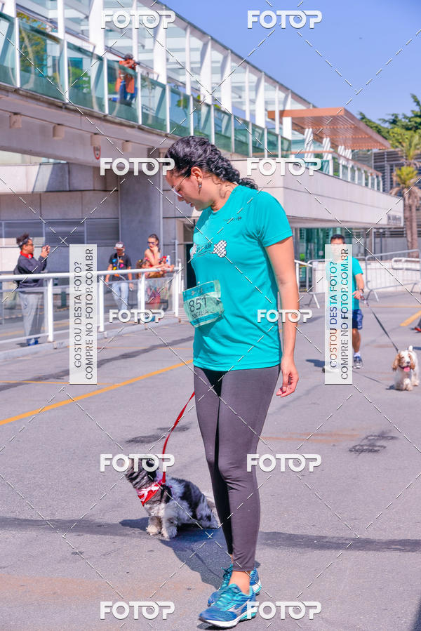 Buy your photos of the event2� Pet Run Shopping Eldorado  on Fotop
