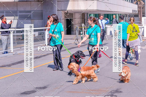 Buy your photos of the event2� Pet Run Shopping Eldorado  on Fotop
