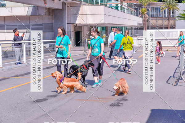 Buy your photos of the event2� Pet Run Shopping Eldorado  on Fotop