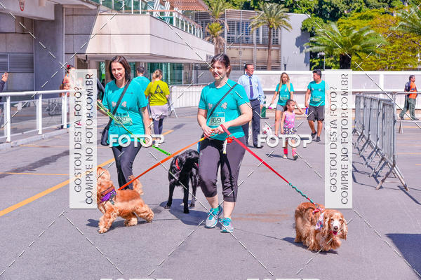 Buy your photos of the event2� Pet Run Shopping Eldorado  on Fotop