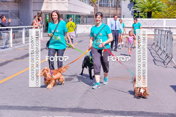 Buy your photos of the event2� Pet Run Shopping Eldorado  on Fotop