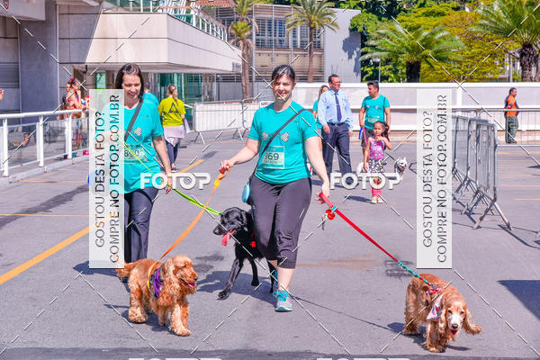 Buy your photos of the event2� Pet Run Shopping Eldorado  on Fotop
