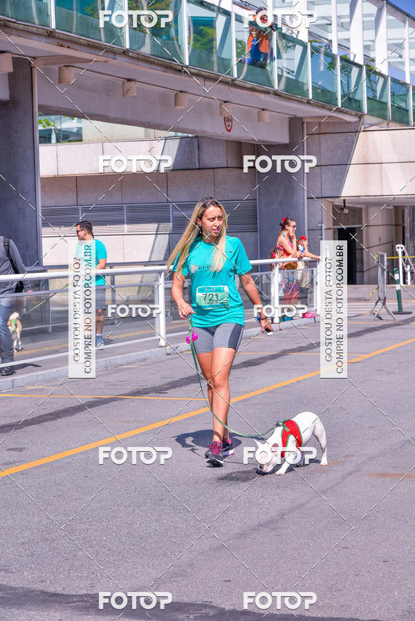 Buy your photos of the event2� Pet Run Shopping Eldorado  on Fotop