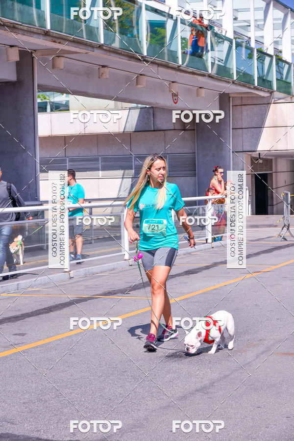Buy your photos of the event2� Pet Run Shopping Eldorado  on Fotop