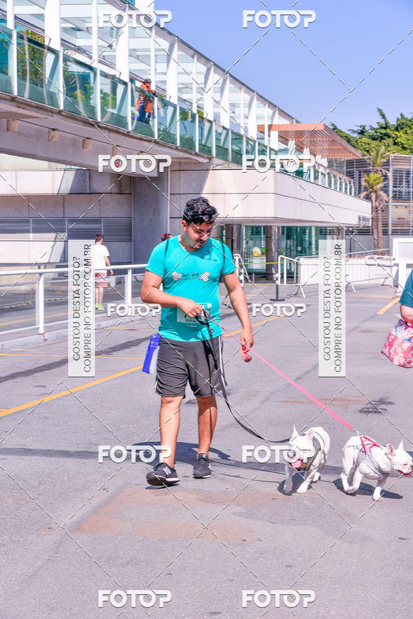 Buy your photos of the event2� Pet Run Shopping Eldorado  on Fotop