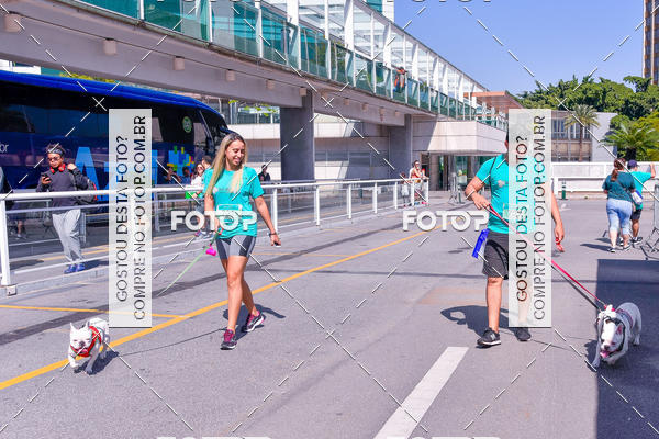 Buy your photos of the event2� Pet Run Shopping Eldorado  on Fotop