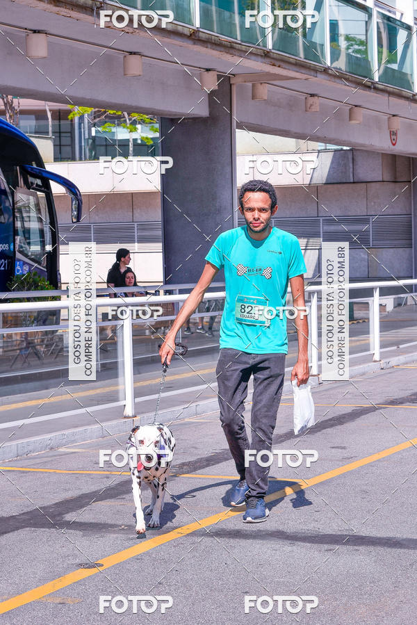 Buy your photos of the event2� Pet Run Shopping Eldorado  on Fotop