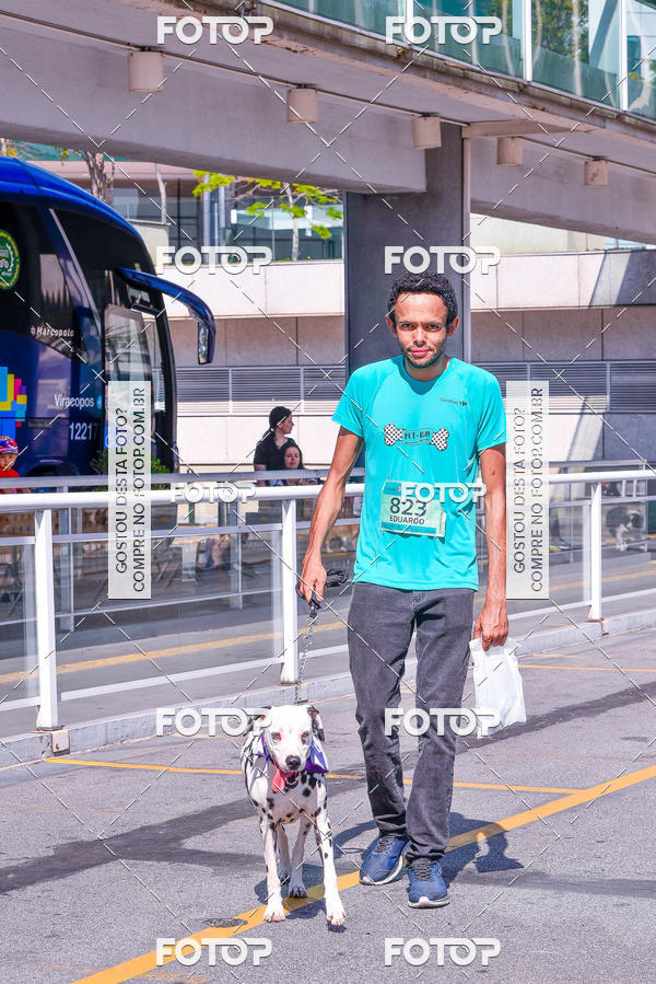 Buy your photos of the event2� Pet Run Shopping Eldorado  on Fotop