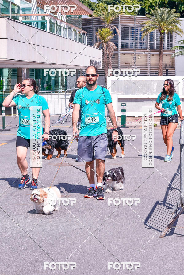 Buy your photos of the event2� Pet Run Shopping Eldorado  on Fotop