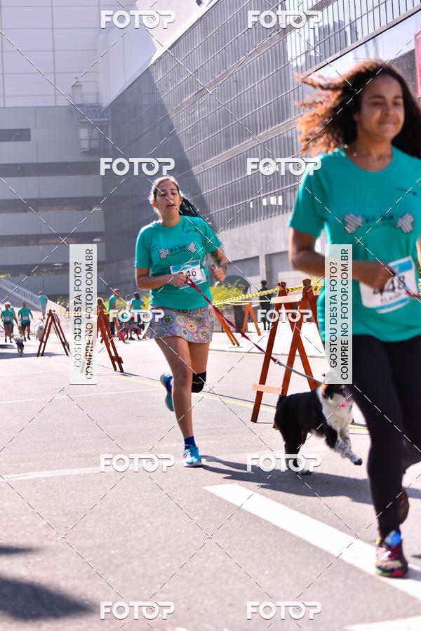 Buy your photos of the event2 Pet Run Shopping Eldorado  on Fotop