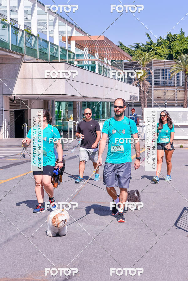 Buy your photos of the event2� Pet Run Shopping Eldorado  on Fotop