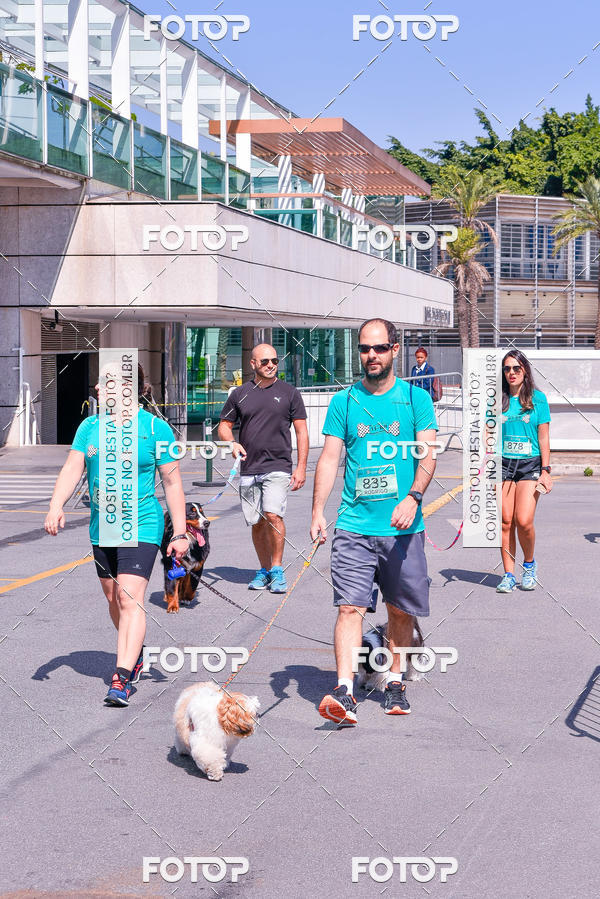 Buy your photos of the event2� Pet Run Shopping Eldorado  on Fotop