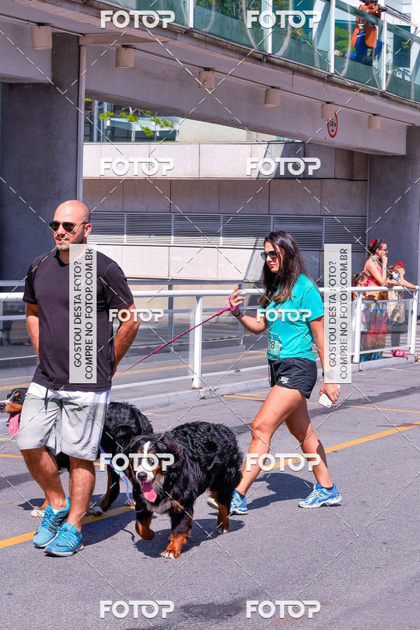 Buy your photos of the event2� Pet Run Shopping Eldorado  on Fotop