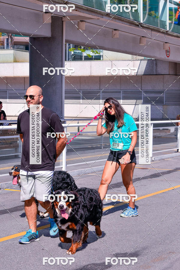 Buy your photos of the event2� Pet Run Shopping Eldorado  on Fotop