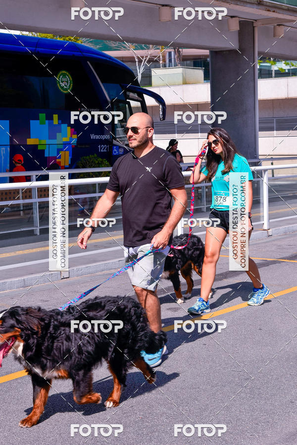 Buy your photos of the event2� Pet Run Shopping Eldorado  on Fotop